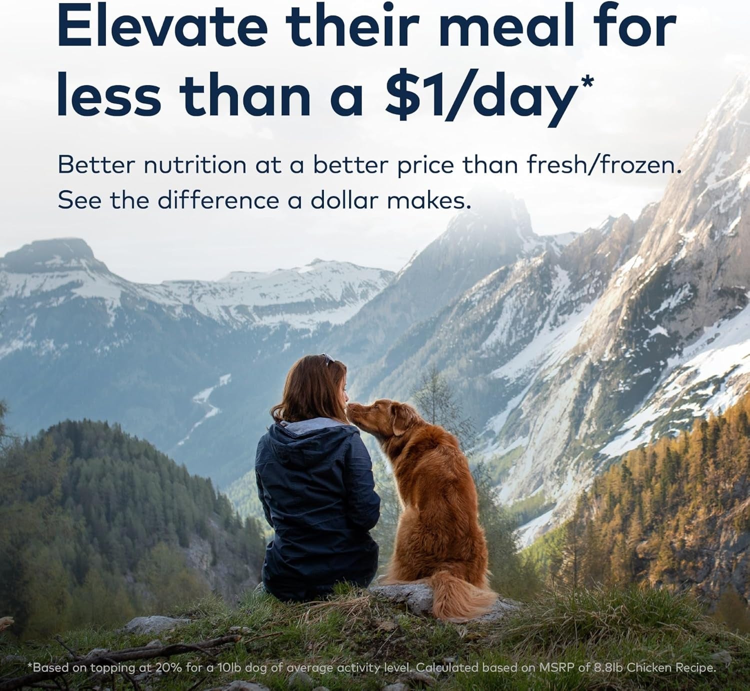 Peak Air-Dried Dog Food – Beef - All Natural, High Protein, Grain Free, Limited Ingredient W/ Superfoods (16Oz)